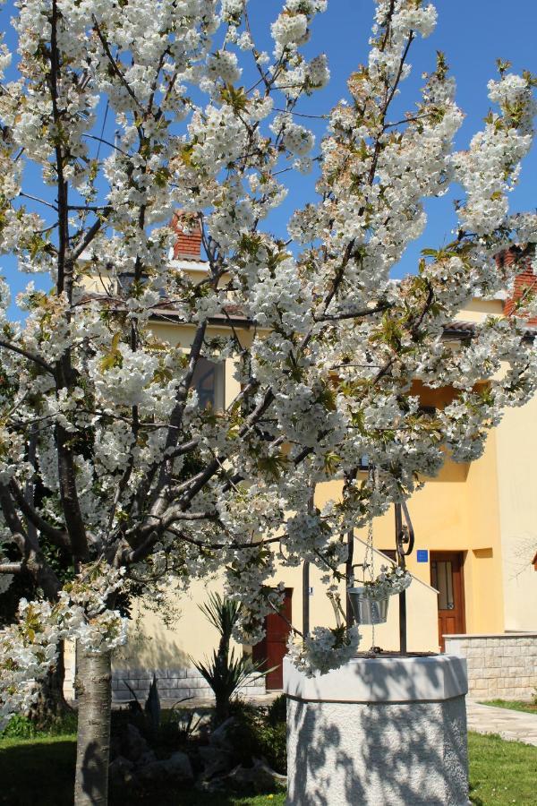 Dekovic Porec